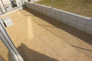 IMG_0991
